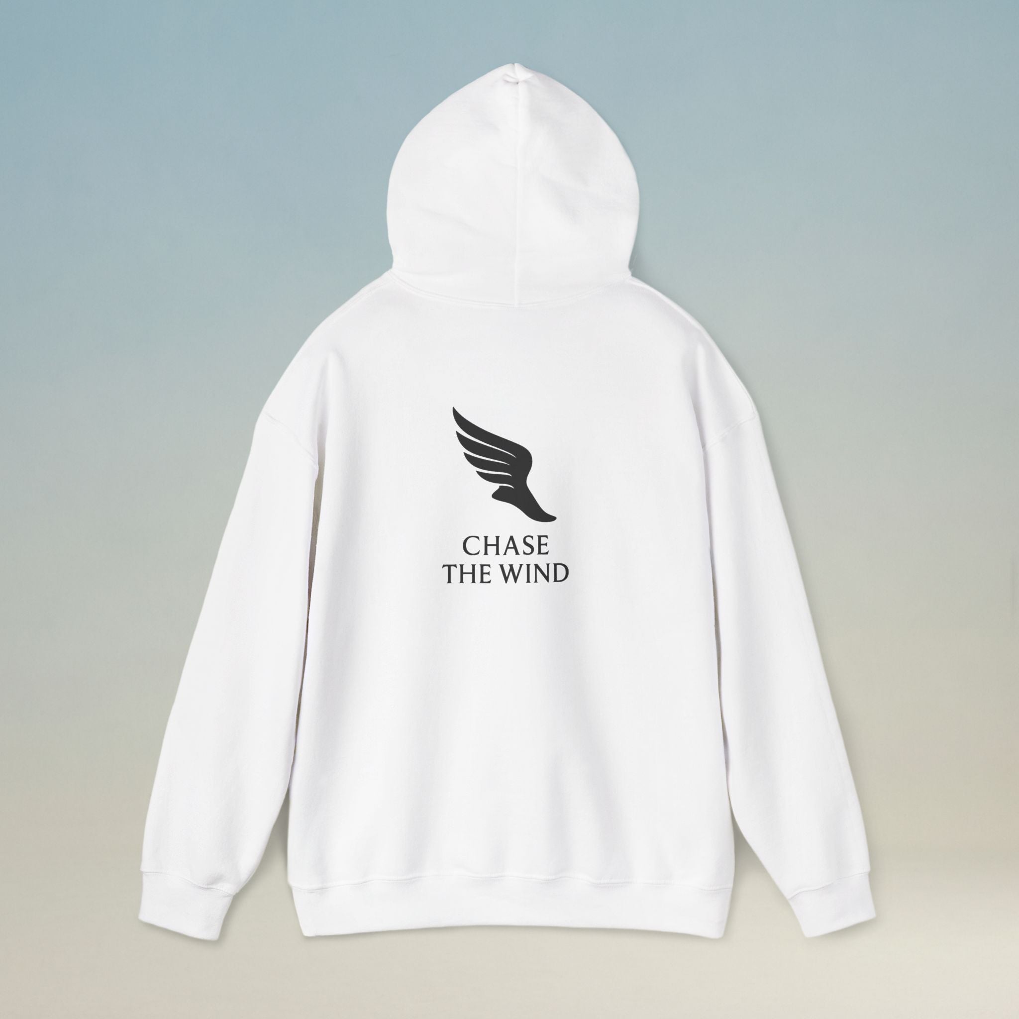 Hermes Greek Mythology design printed on a hoodie